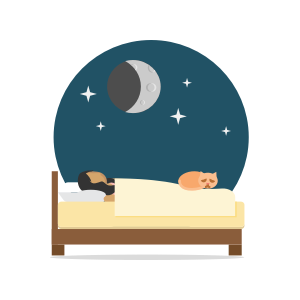 Sleep Well Icon